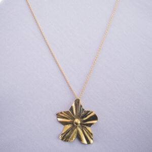 Five petal flower necklace in small size. Pure brass with brass chain