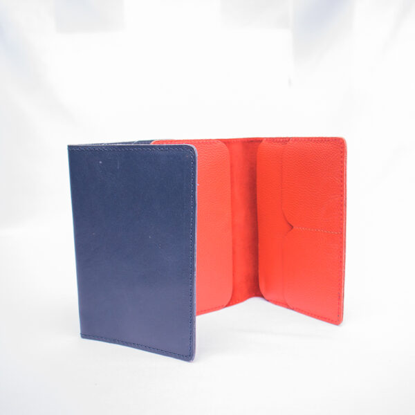Passport holders in blue and red.